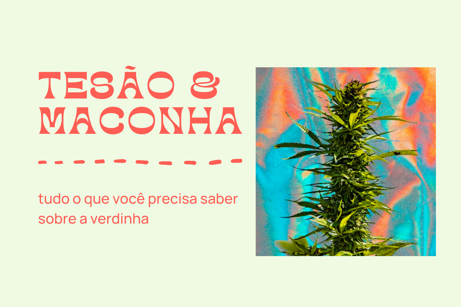 Tesão & Maconha